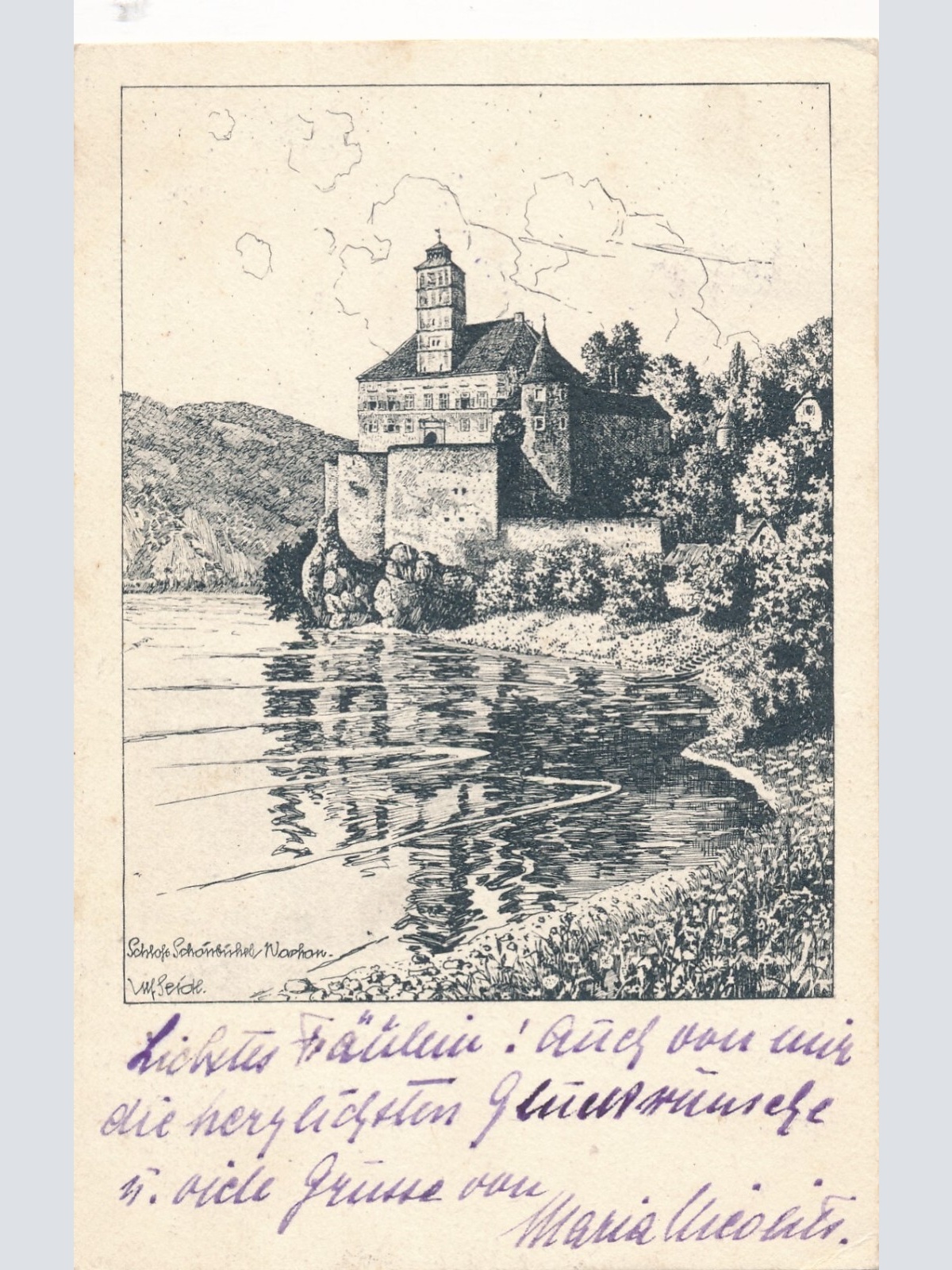 AK aus Schönbühel an der Donau mit Schloss Niederösterreich (6990)