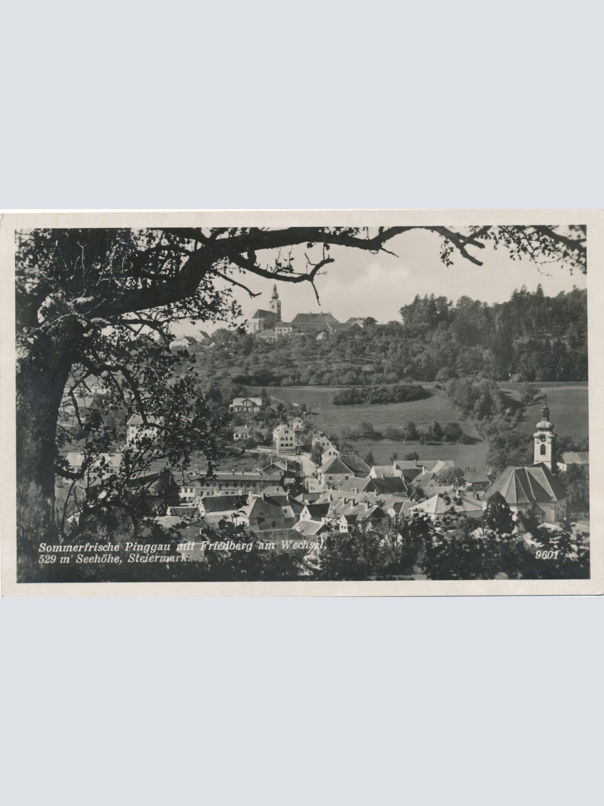 AK aus Pinggau mit Freidberg Steiermark (7017)