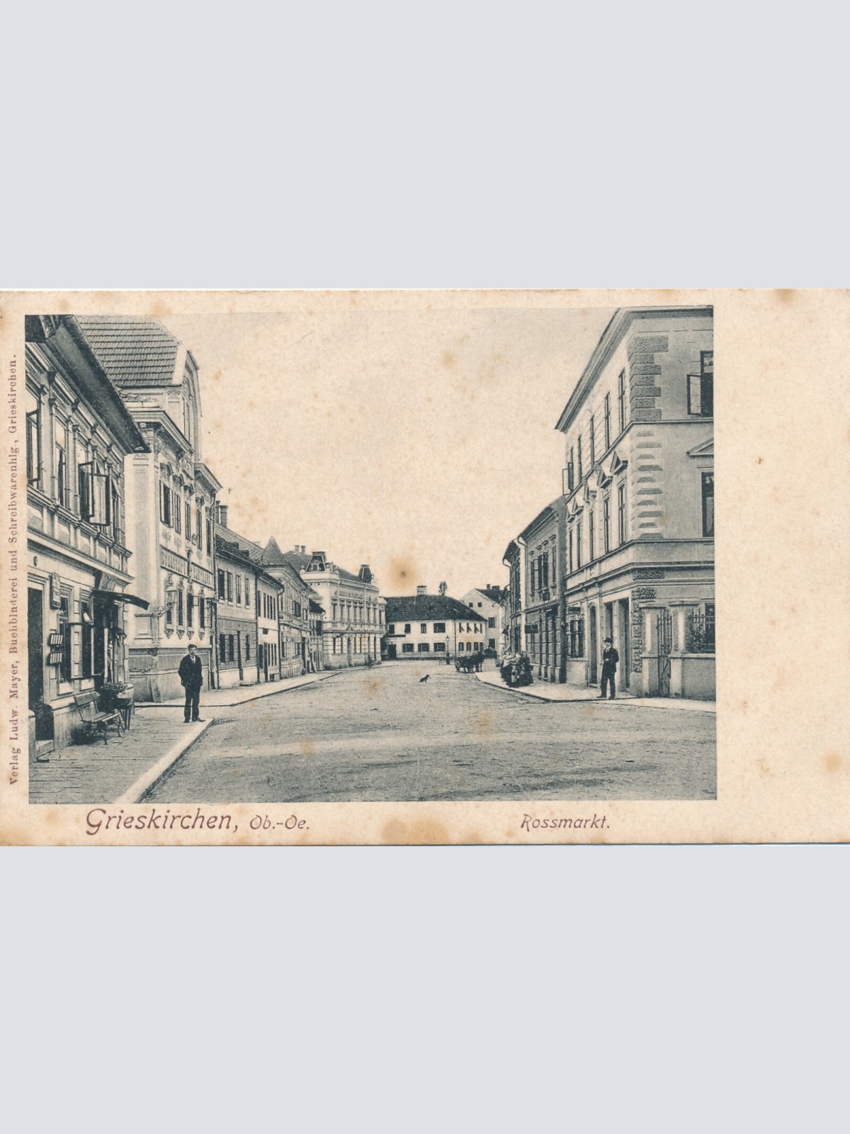 AK aus Grieskirchen Rossmarkt Oberösterreich (6768)