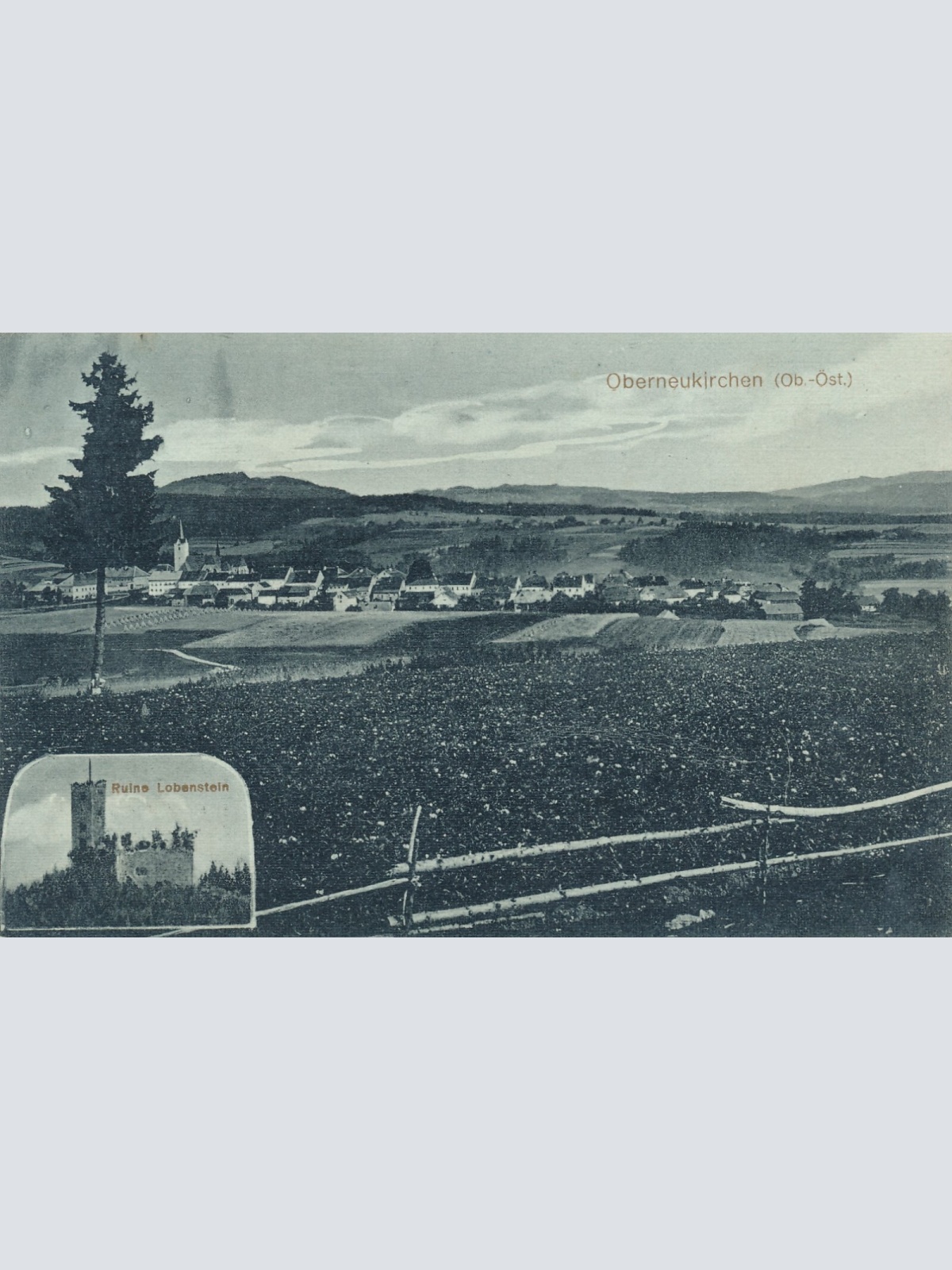 AK aus Oberneukirchen Mondscheinkarte Oberösterreich (6751)