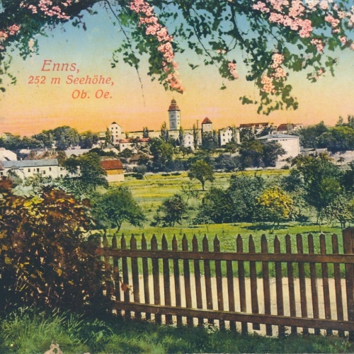 AK aus Enns Oberösterreich (6708)