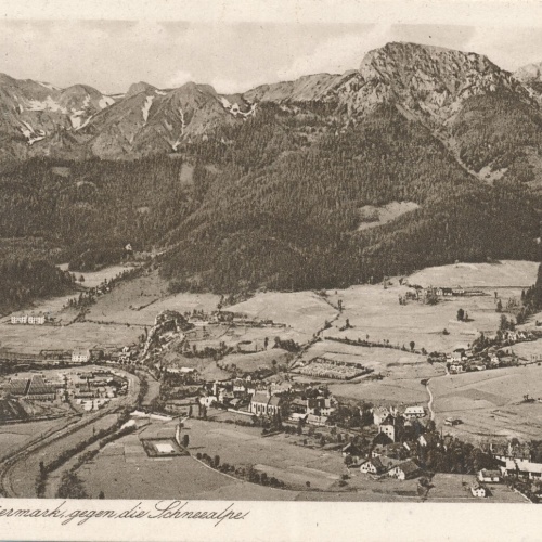 AK aus Neuberg Steiermark (7308)