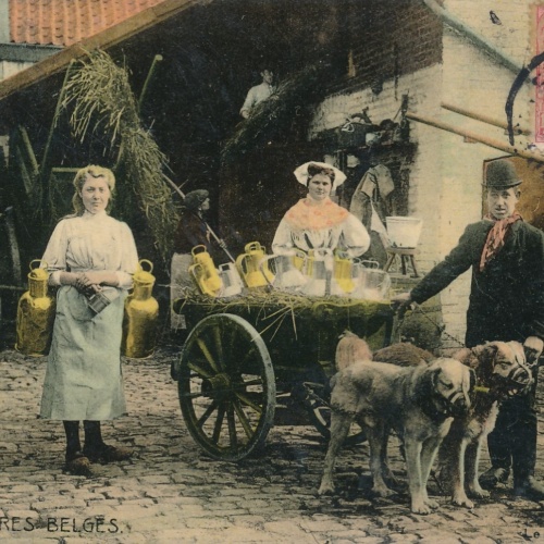 AK aus Laitieres Belgien mit Hundekarren - Hundewagen (6508)