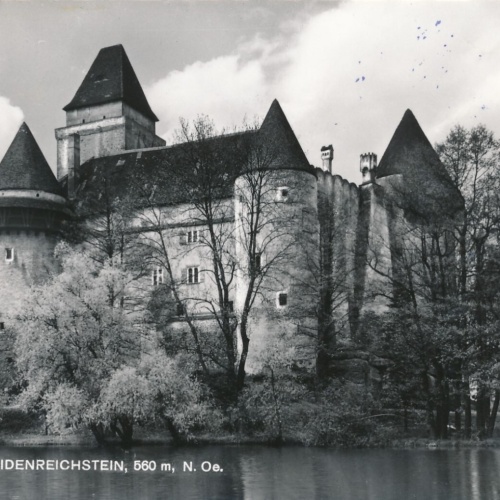 AK vom Schloss Heidenreichstein Niederösterreich (7423)