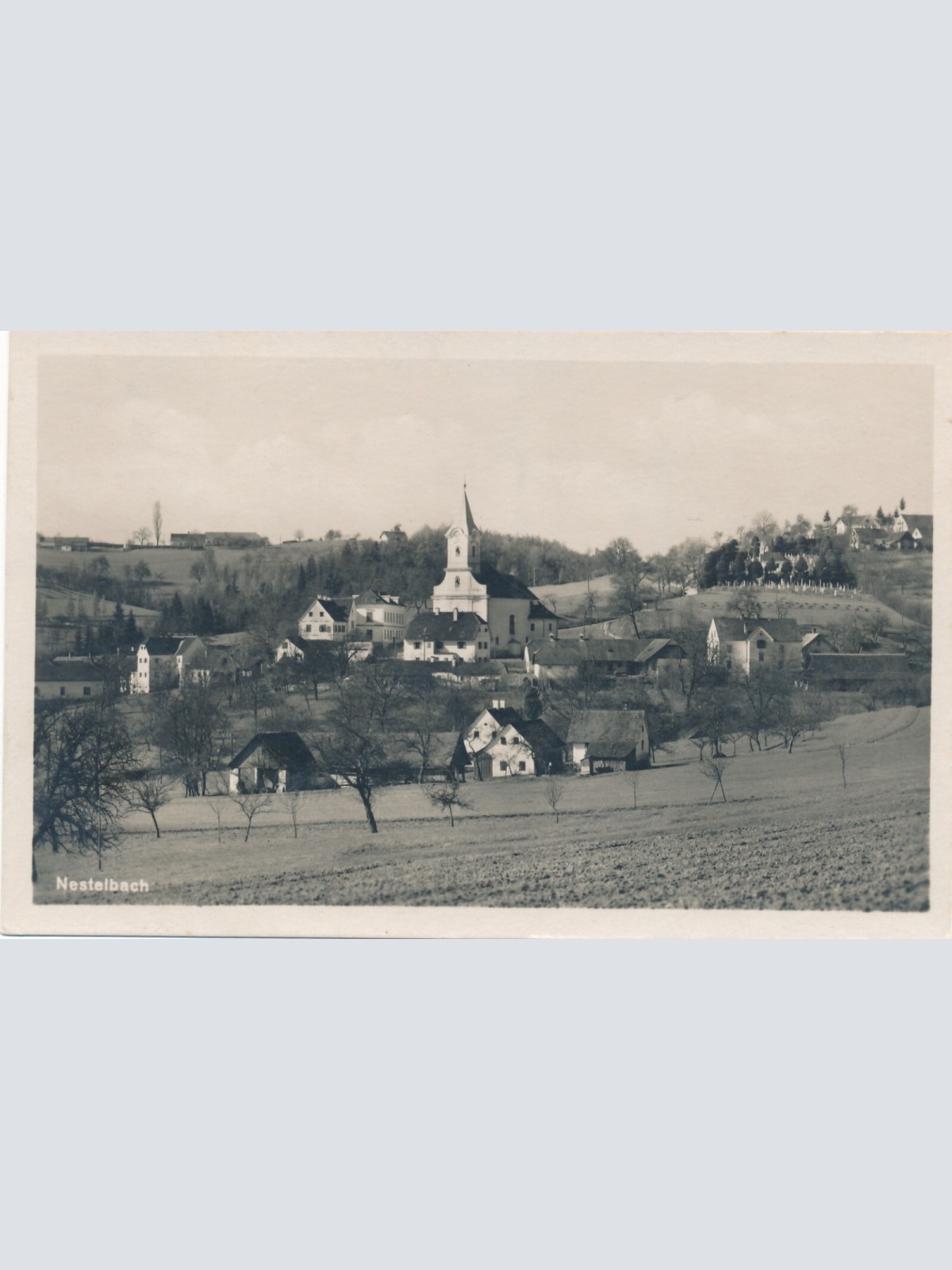 AK aus Nestelbach Steiermark (7169)