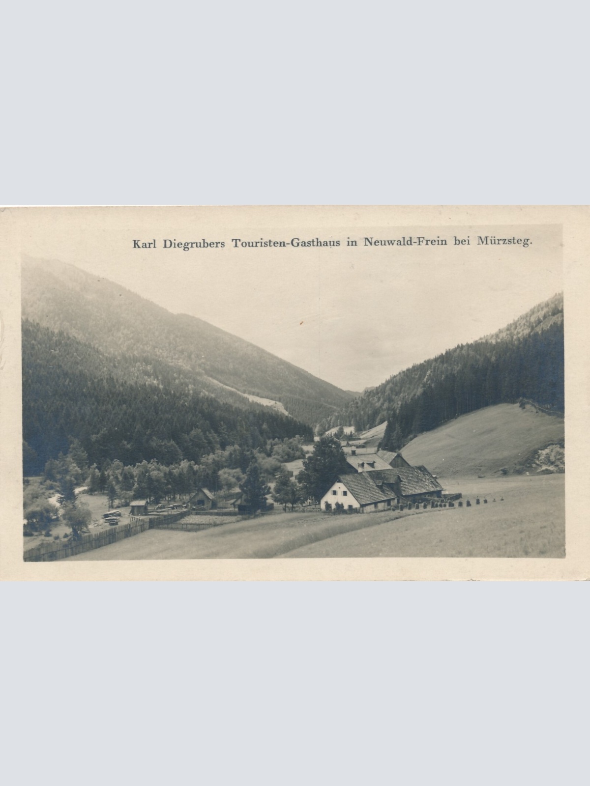 AK aus Neuwald Frein mit Karl Diegrubers Gasthaus Steiermark (7170)