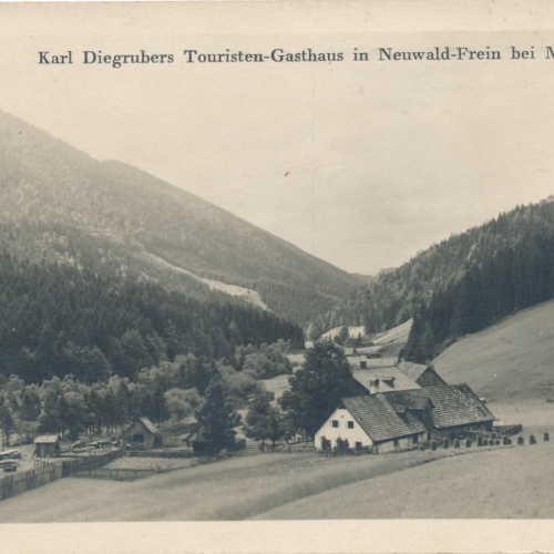 AK aus Neuwald Frein mit Karl Diegrubers Gasthaus Steiermark (7170)