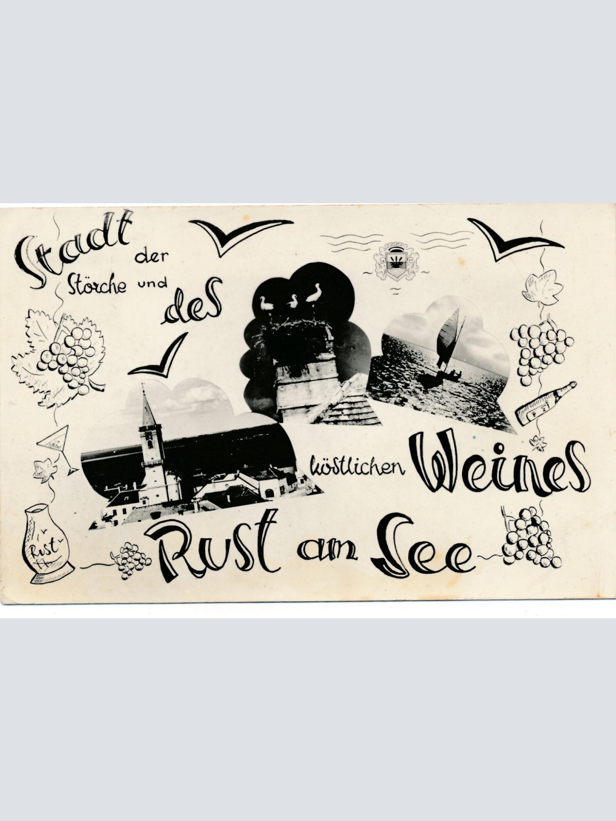 AK aus Rust am See die Stadt der Störche Burgenland (7109)