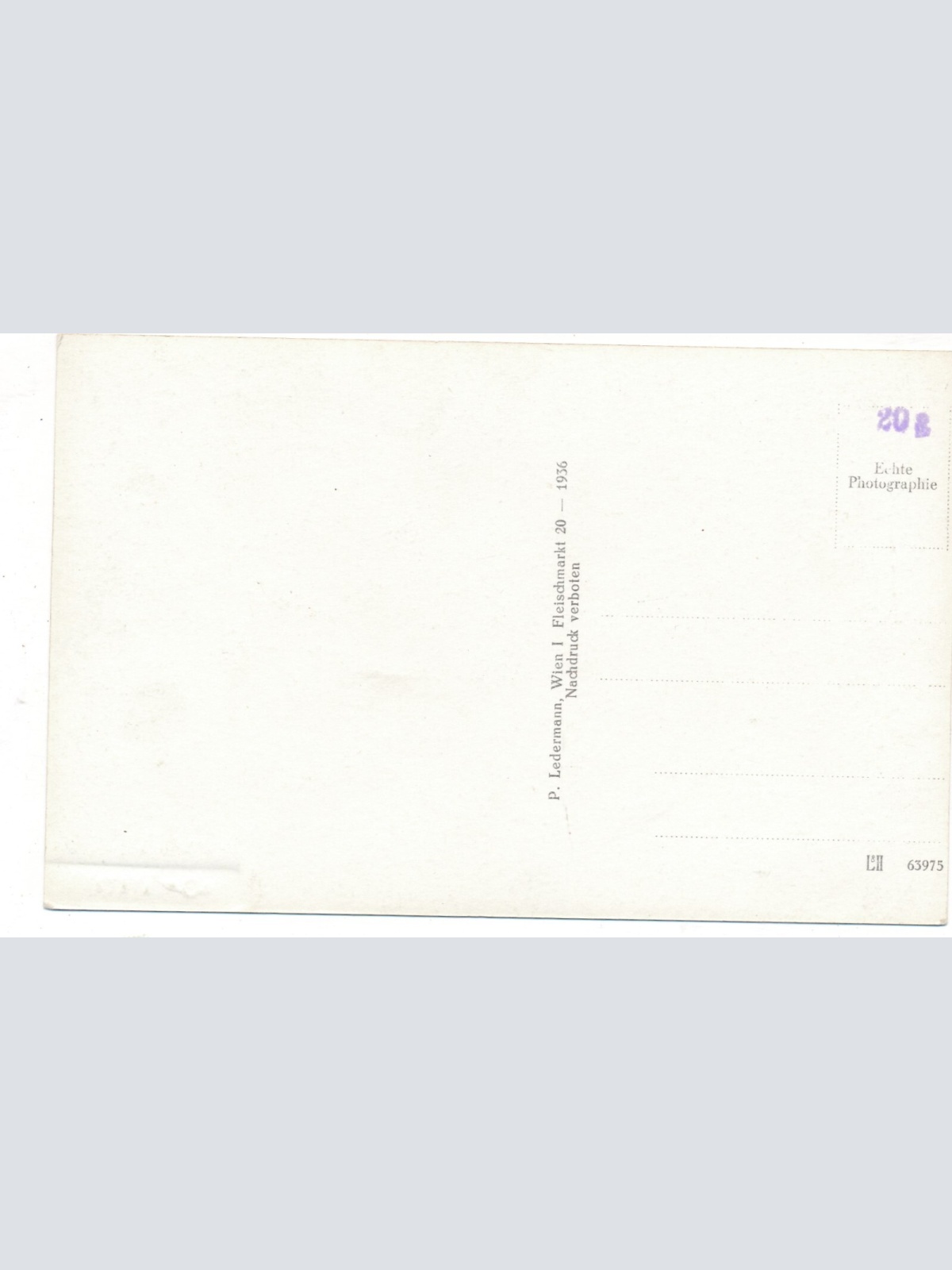 AK vom Schloss Trautenfels mit Grimming Steiermark (7526)