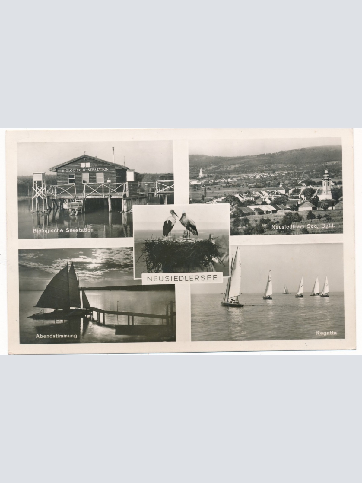 AK vom Neusiedlersee Mehrbildkarte Brugenland (7511)