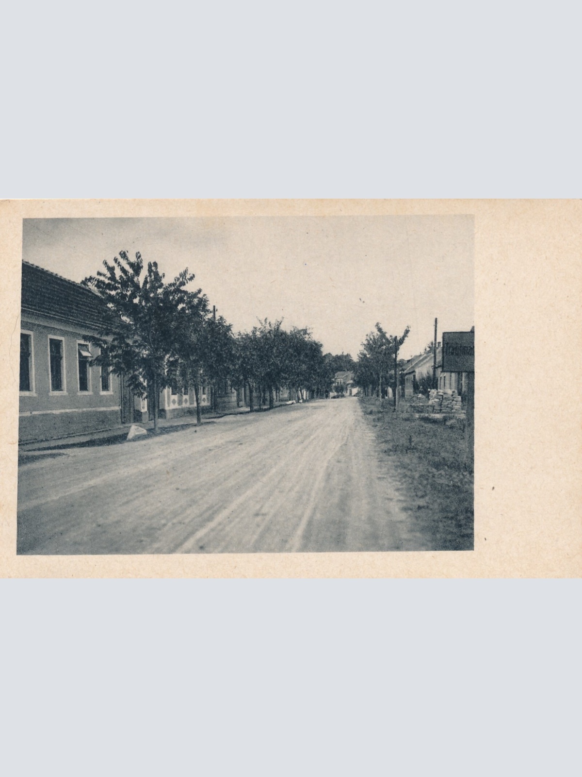 AK aus Trautmannsdorf Niederösterreich (7877)