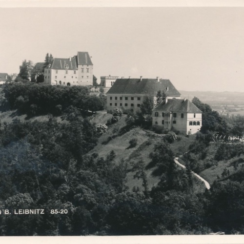 AK aus Leibnitz mit Seggauberg Steiermark (8050)