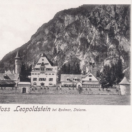 AK vom Schloss Leopoldstein Steiermark (8067)
