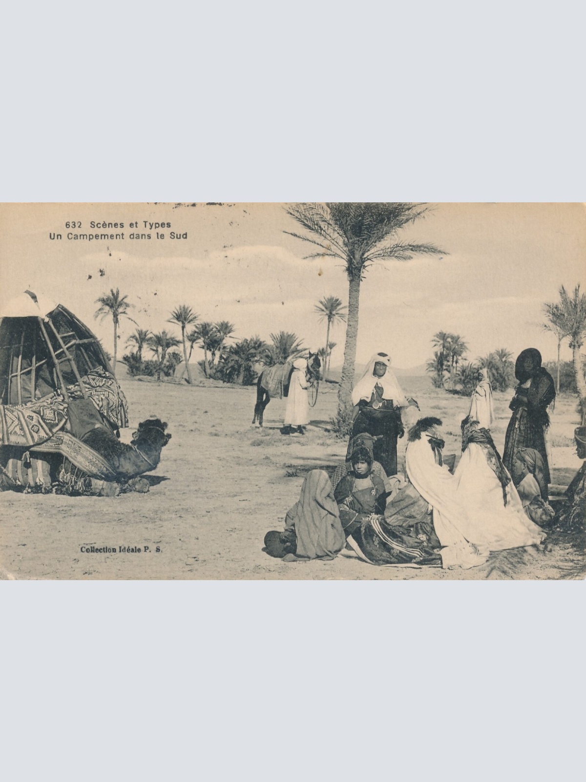 AK aus Algerien Scenes et Types mit Kamel Afrika (7770)