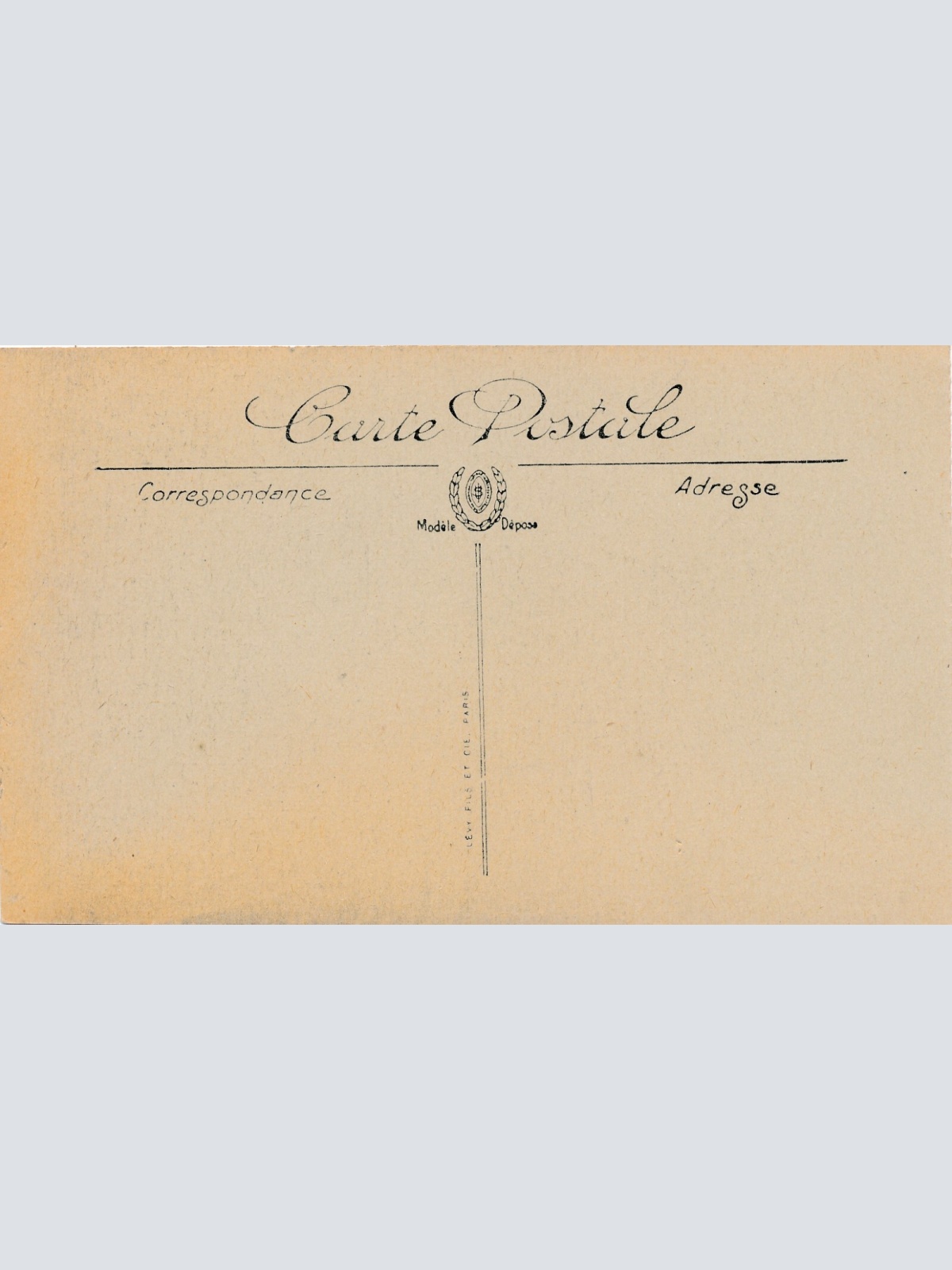 AK aus Algerien Scenes et Types mit Kamel Afrika (7771)