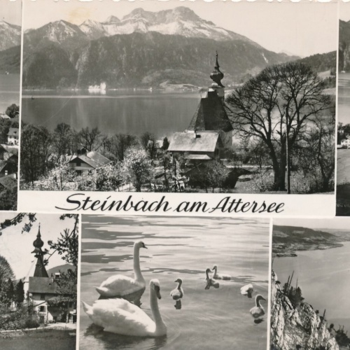 AK aus Steinbach Mehrbildkarte Oberösterreich Ansichtskarte (8191)