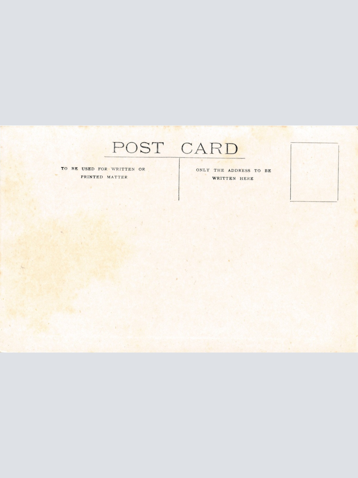 AK aus New Zeeland - Neuseeland mit Schafsherde (6560)