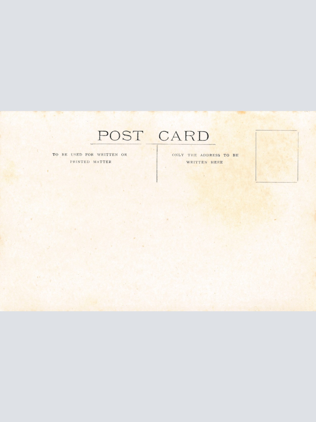 AK aus New Zeeland - Neuseeland mit Schafsherde (6561)