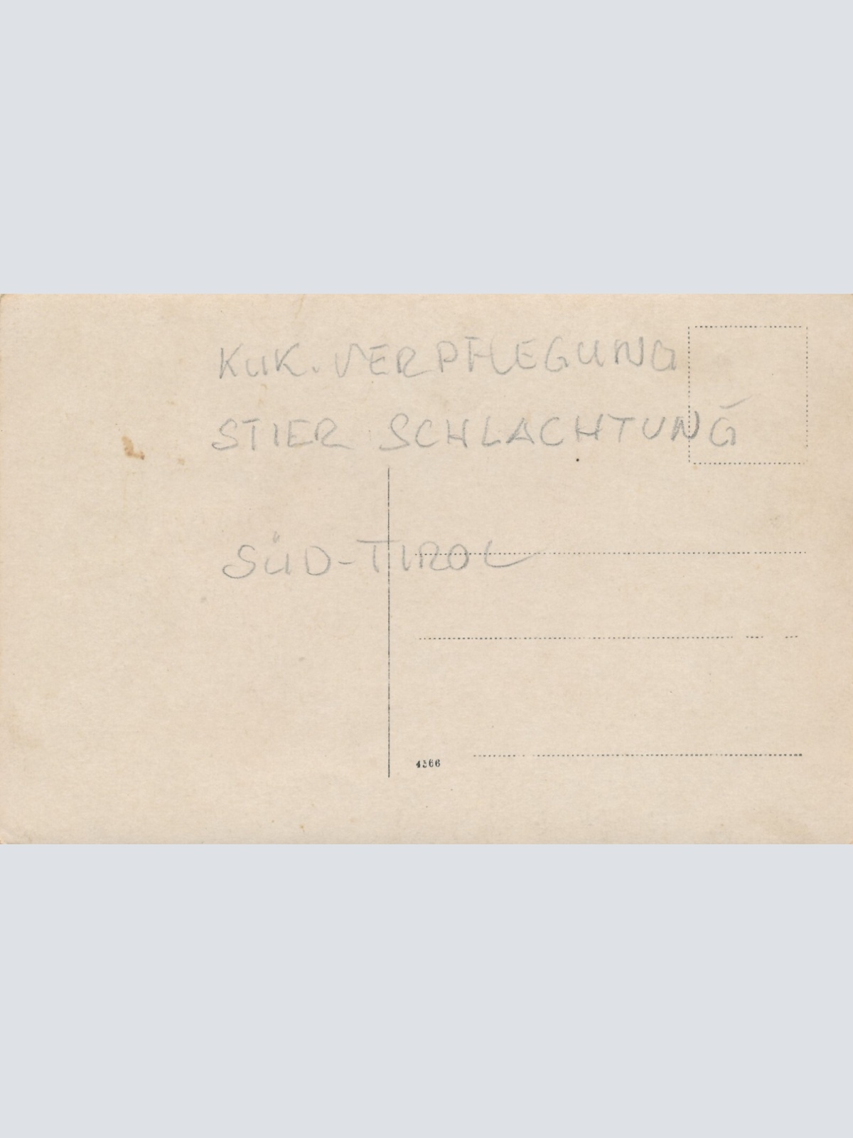 AK Annodazumals Verpflegung Stier Schlachtung (6631)