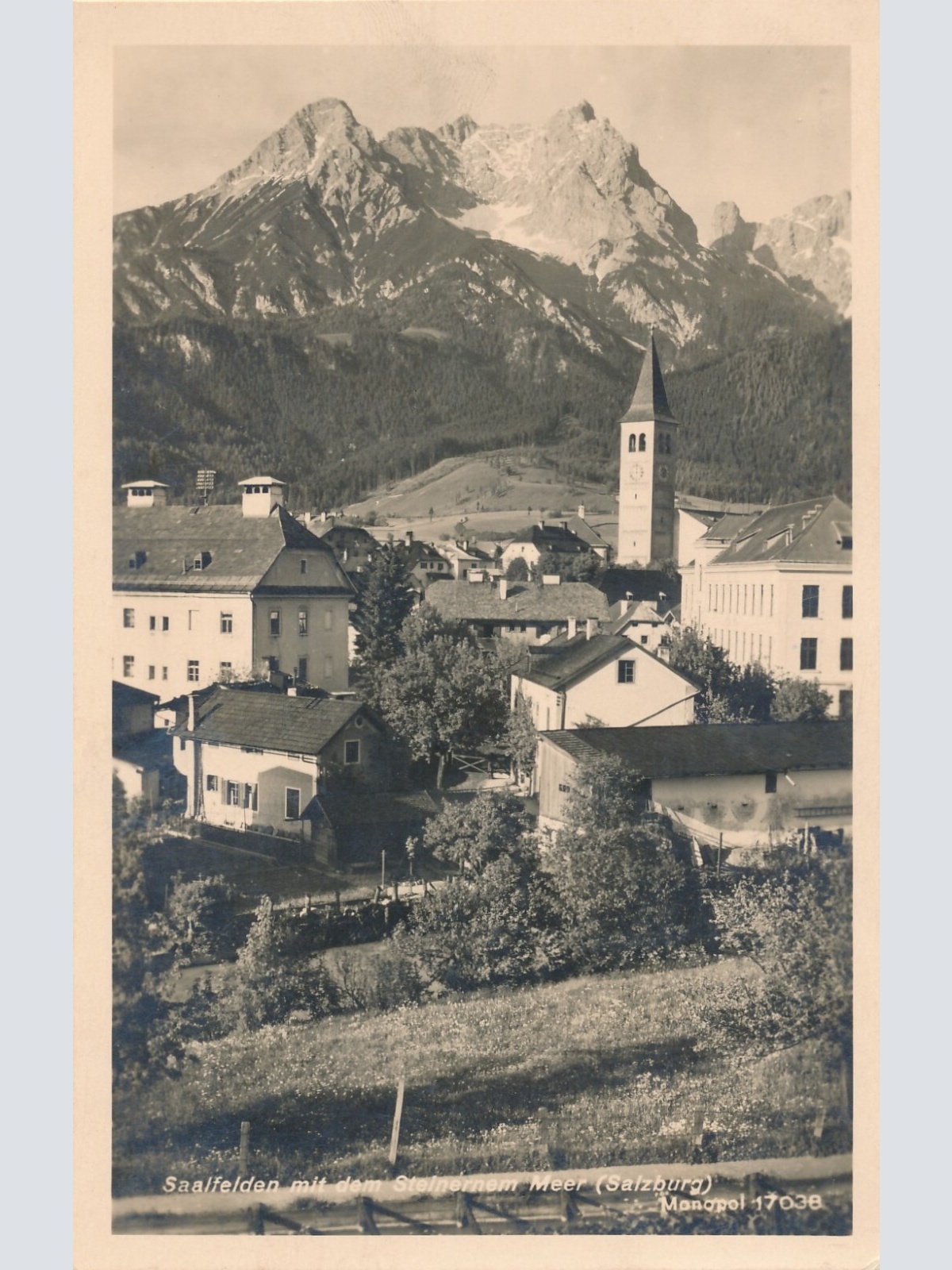 AK aus Saalfelden mit Steinernen Meer Salzburg Ansichtskarte (8301)