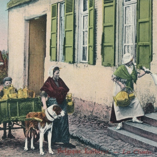 AK Laitiere mit Hundekarren Belgien (6578)