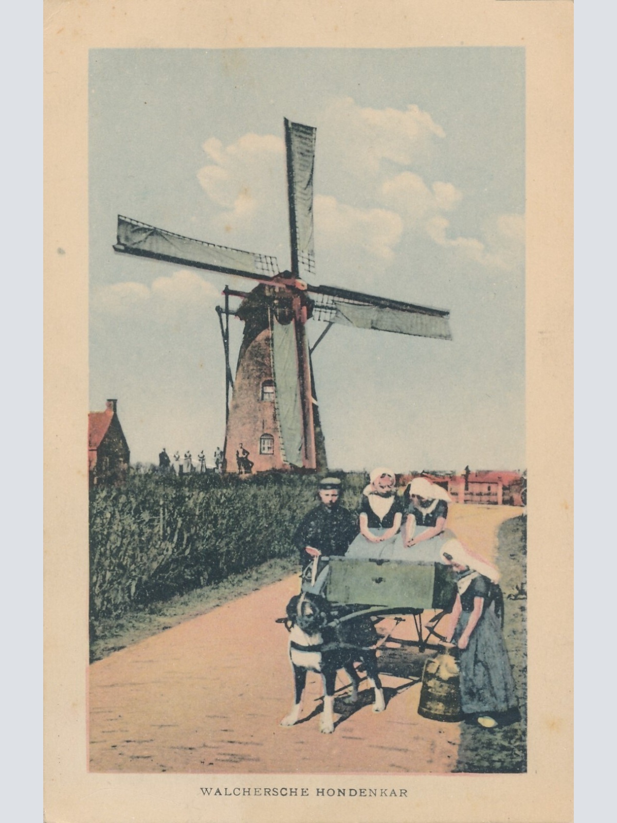 AK Hundekarren - Hondenkar Niederlande (6568)