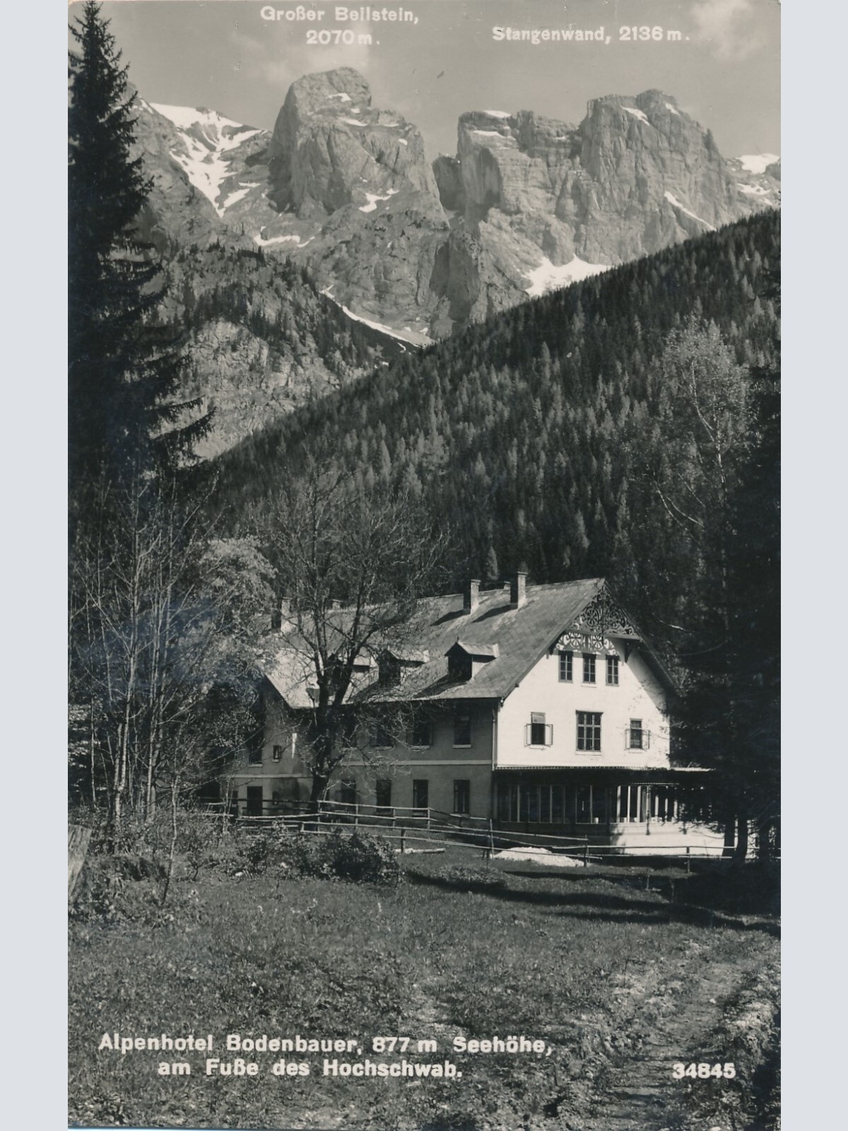 AK vom Alpenhotel Bodenbauer Steiermark Ansichtskarte (8331)