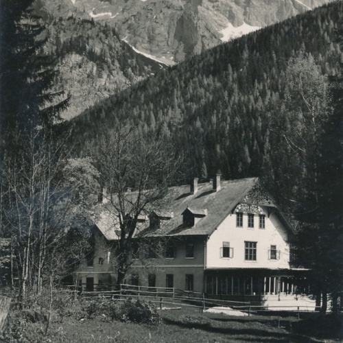 AK vom Alpenhotel Bodenbauer Steiermark Ansichtskarte (8331)