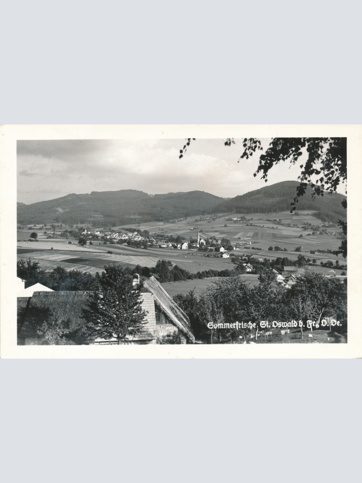 AK aus St. Oswald Oberösterreich Ansichtskarte (8936)