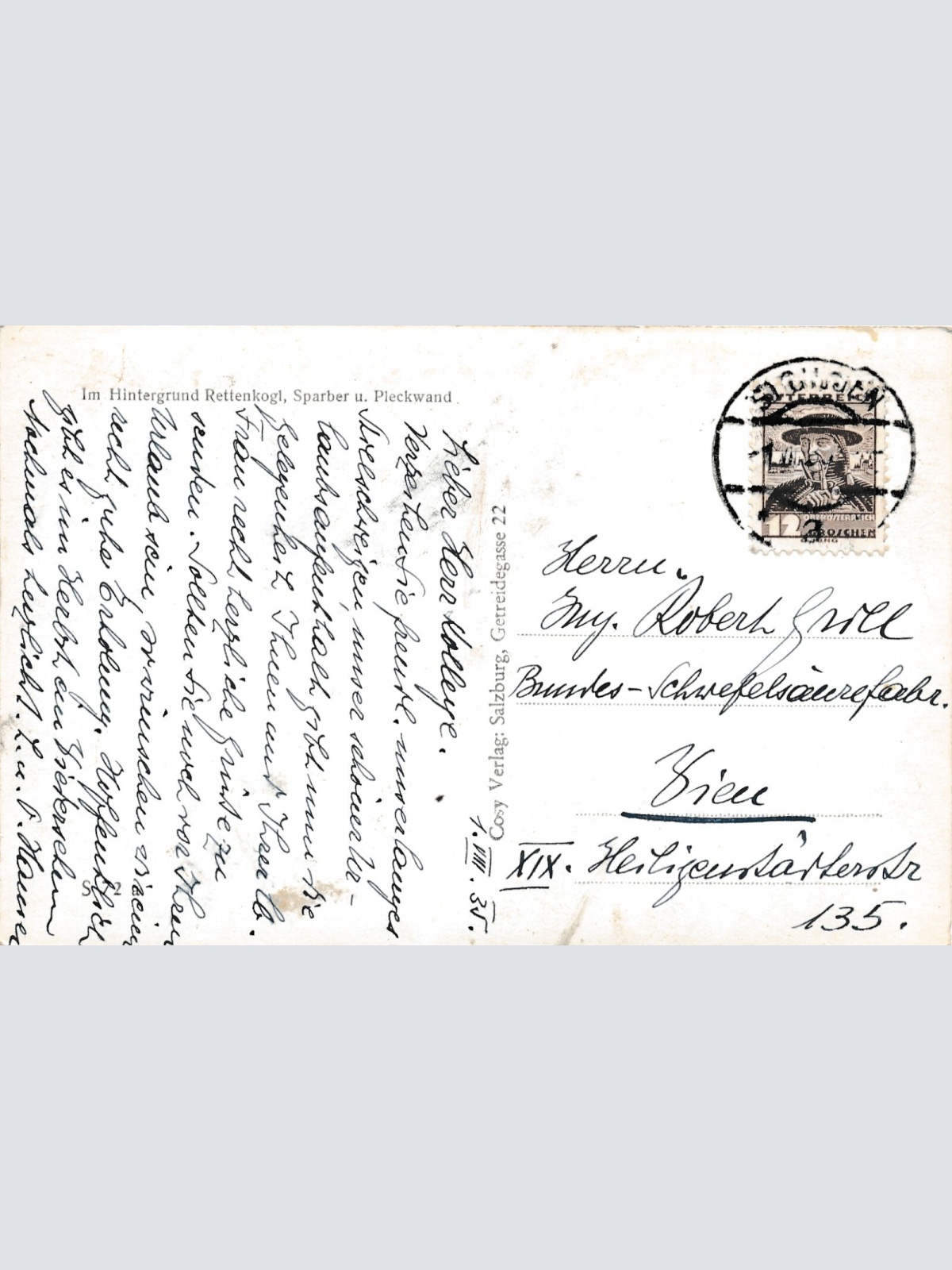 AK aus St.Gilgen Salzburg Ansichtskarte (8799)