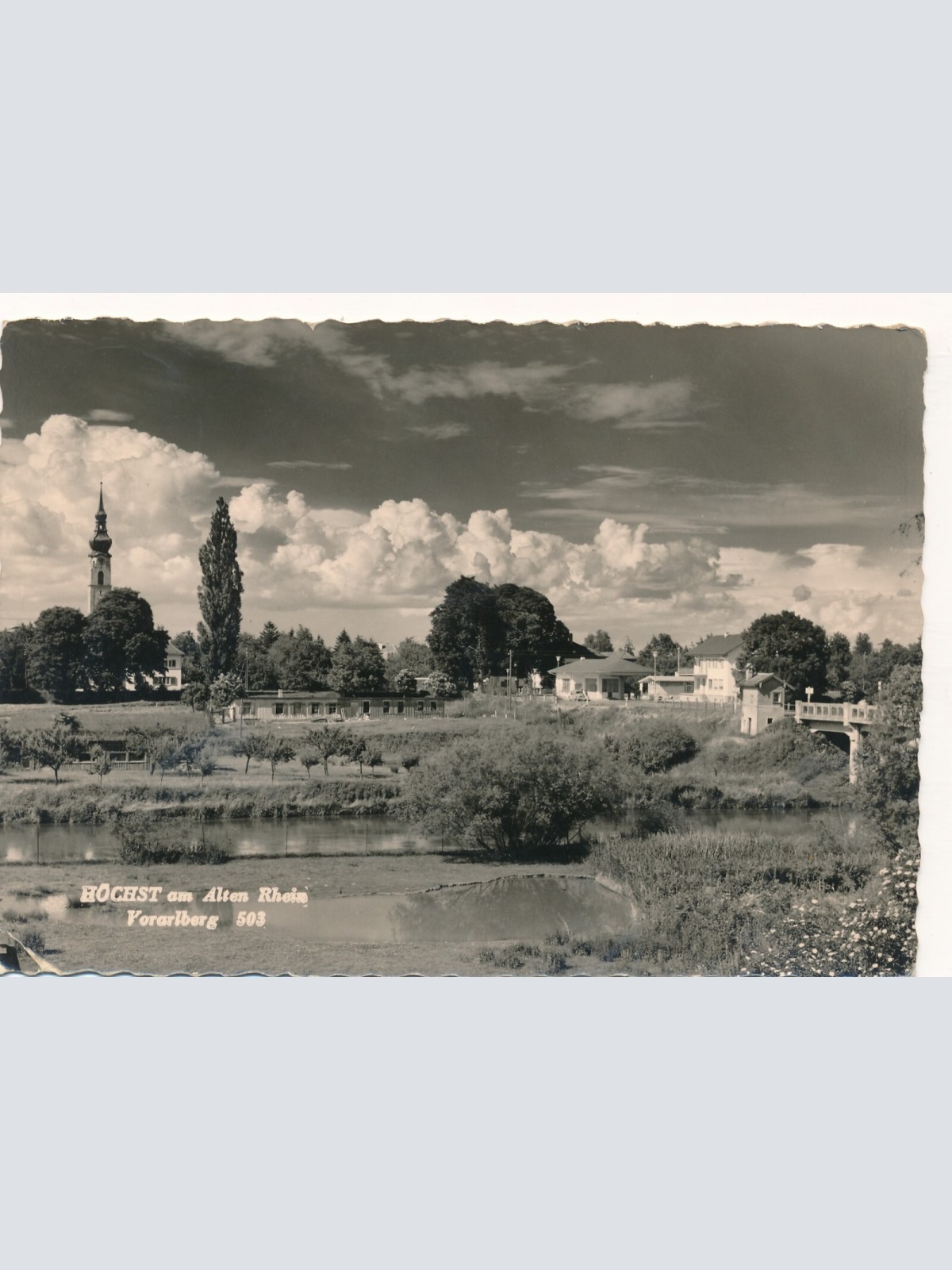 AK aus Höchst am Altem Rhein Vorarlberg Ansichtskarte (9219)