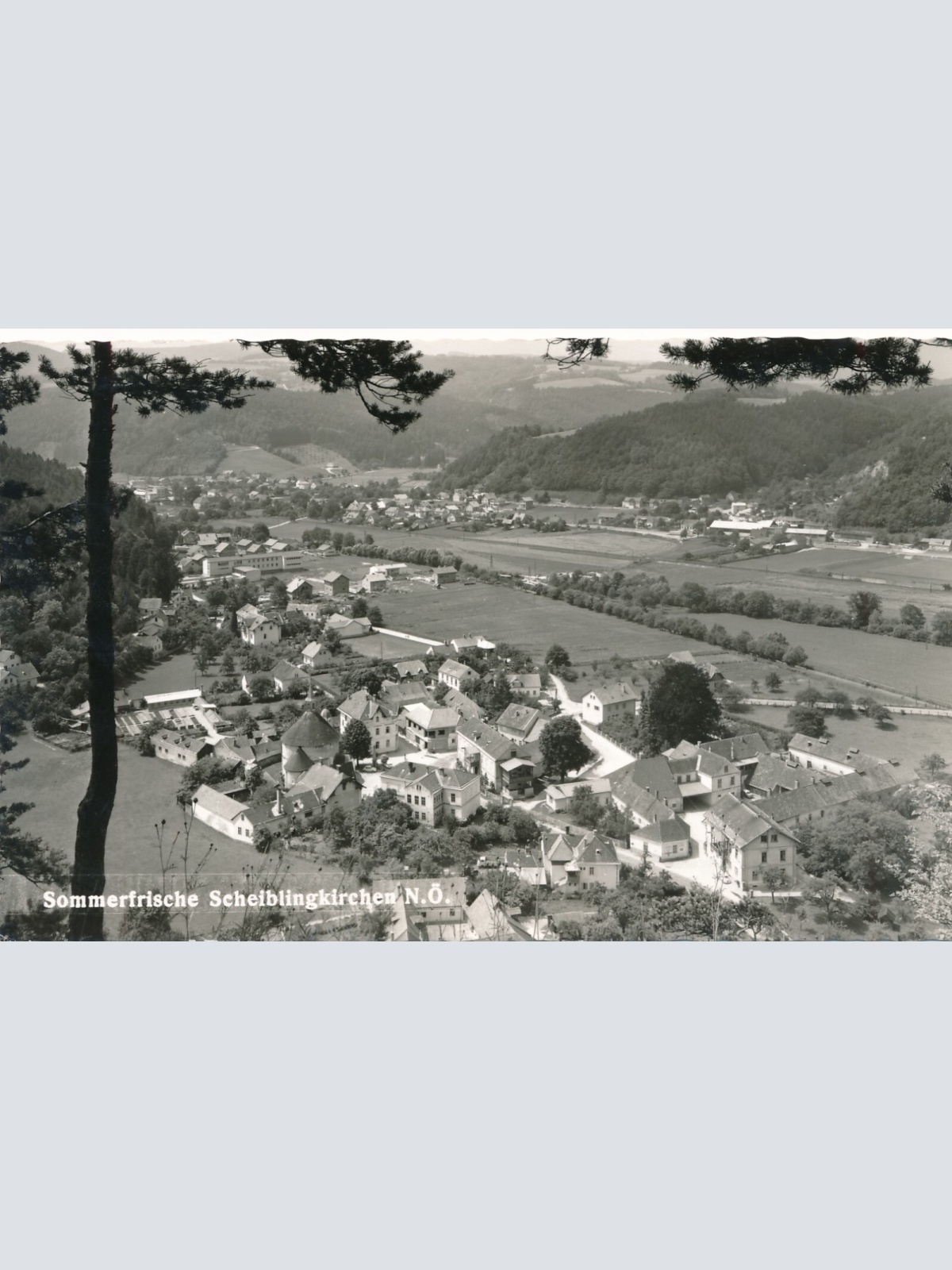 AK aus Scheiblingskirchen Niederösterreich  (J56)