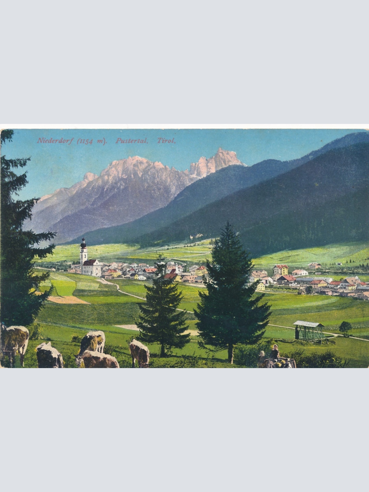 AK aus Niederhof Tirol Ansichtskarte (9381)