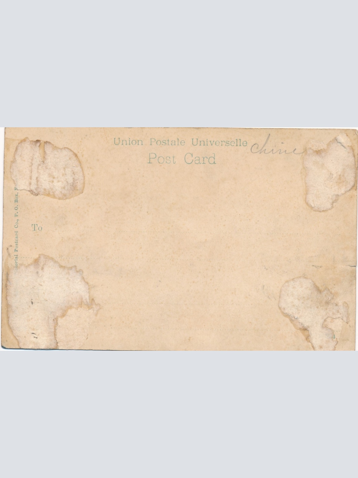 AK aus Hongkong Wyndham Street Flower Show China (7950)