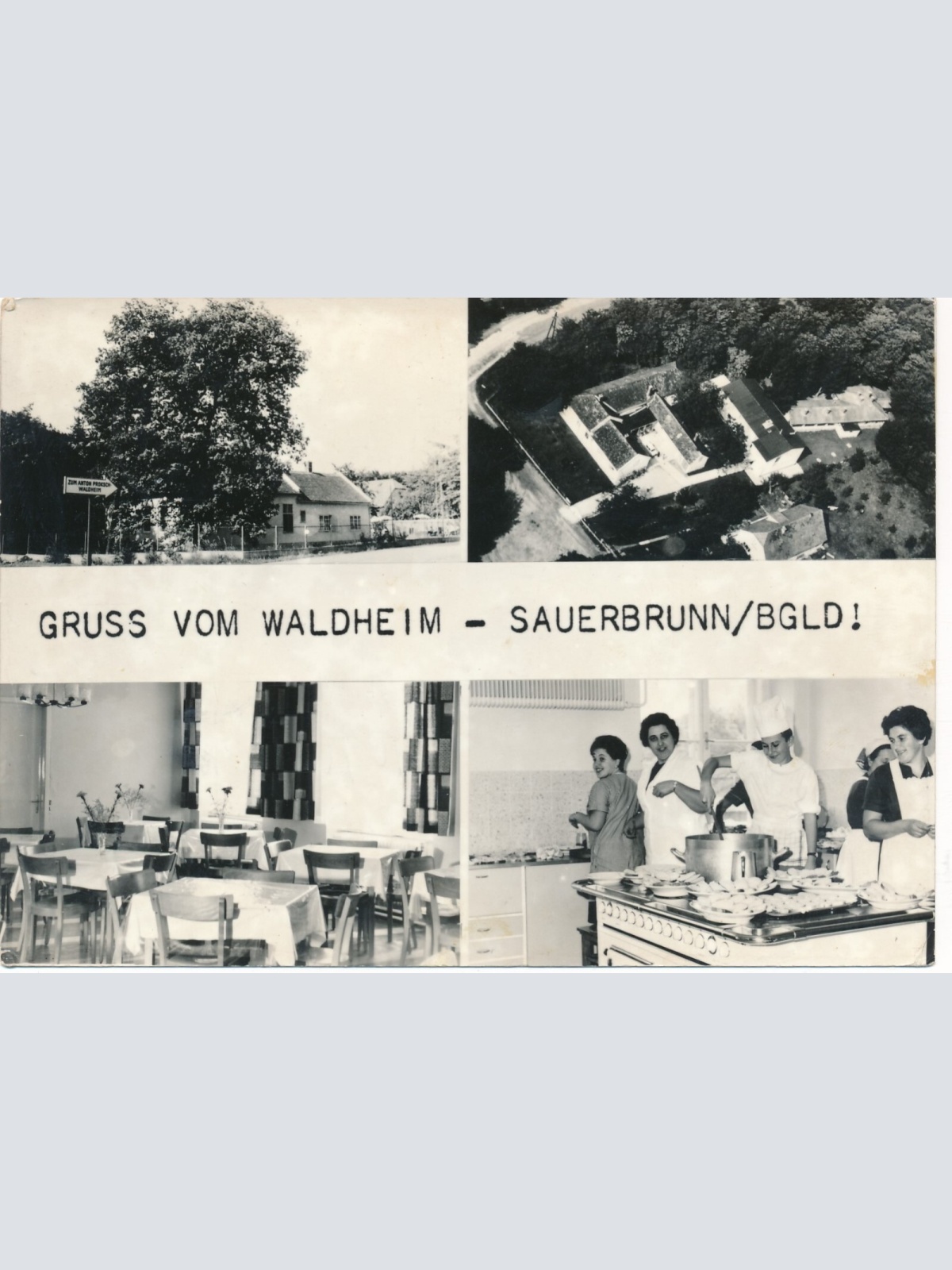 AK vom Waldheim Sauerbrunn Burgenland Ansichtskarte (9499)