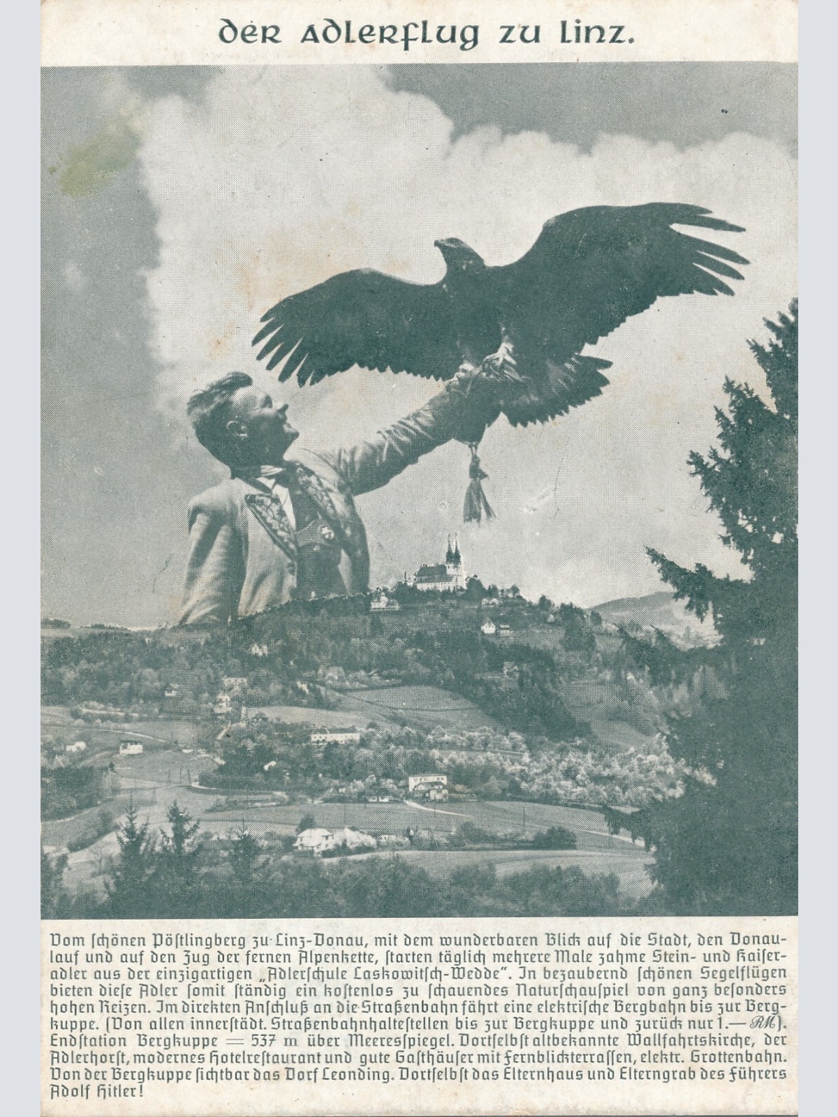 AK aus Linz der Adlerflug Oberösterreich Ansichtskarte (9842)