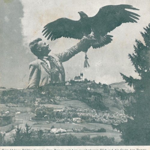 AK aus Linz der Adlerflug Oberösterreich Ansichtskarte (9842)