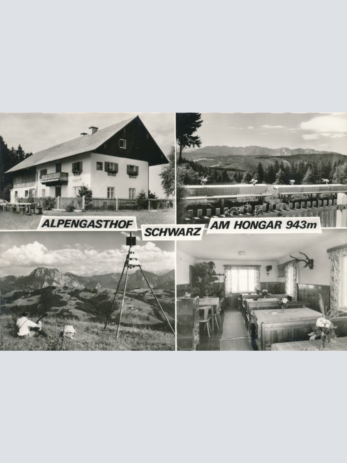 AK am Hongar mit Gasthof Schwarz Oberösterreich Ansichtskarte (9824)