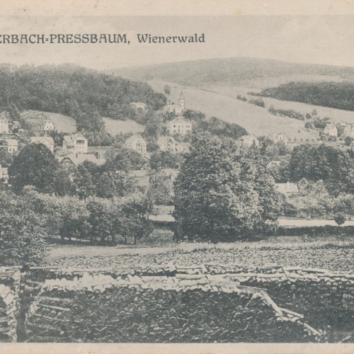 AK aus Tullnerbach Pressbaum Niederösterreich Ansichtskarte (9877)