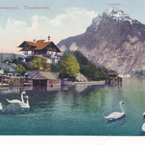 AK aus Traunkirchen Oberösterreich Ansichtskarte (9742)