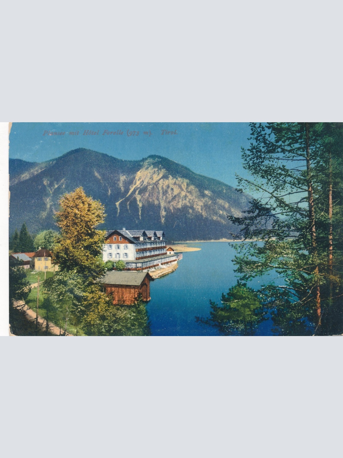 AK vom Plansee mit Hotel Forelle Tirol Ansichtskarte (9940)