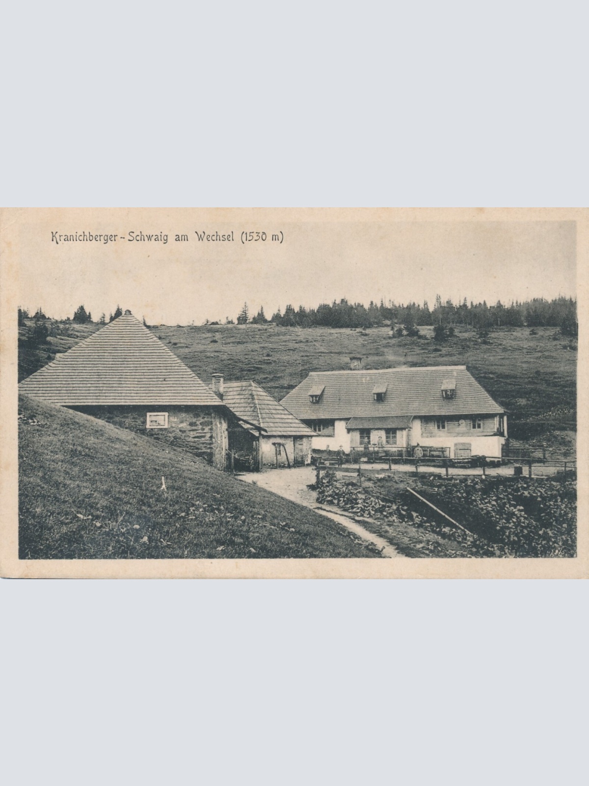 AK aus Schwaig am Wechsel Kranichberger Niederösterreich Ansichtskarte (9887)