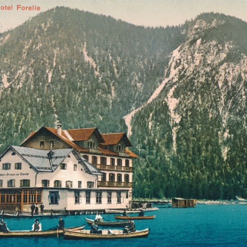 AK vom Plansee mit Hotel Forelle Tirol Ansichtskarte (9938)