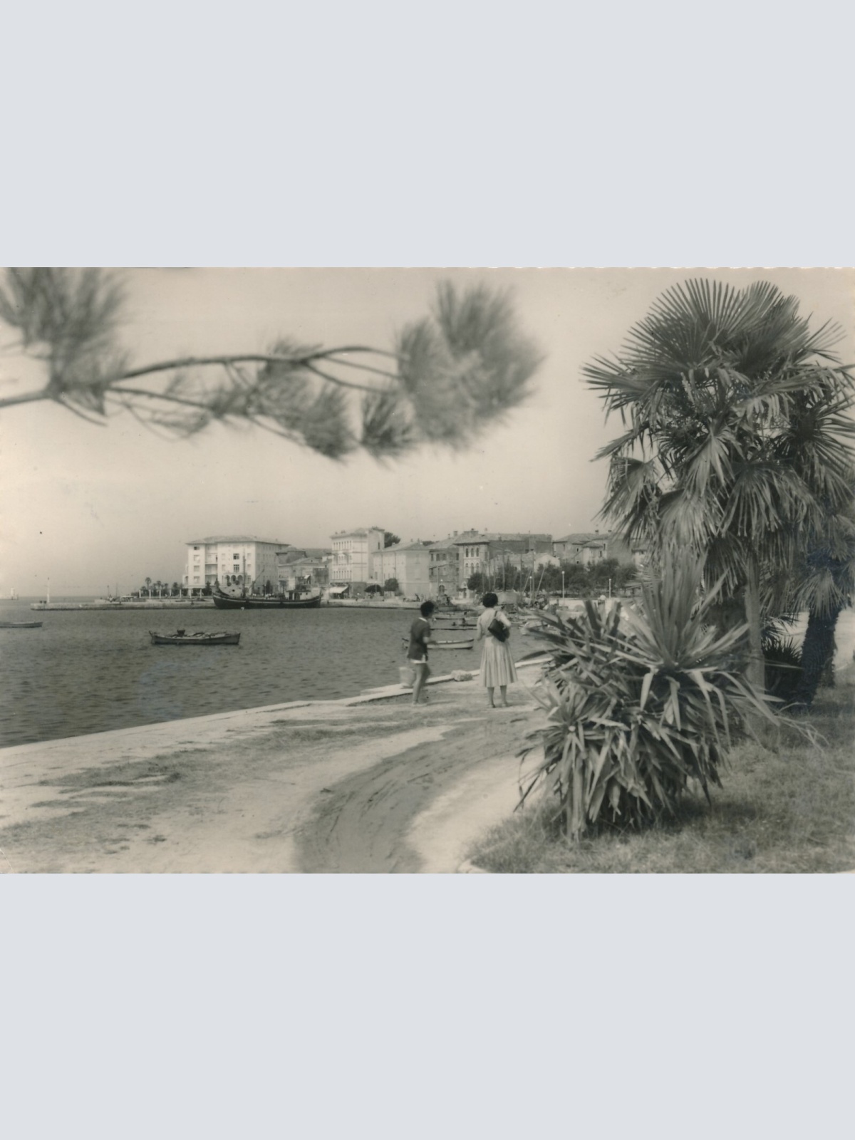 AK aus Porec Poretch Ansichtskarte (9669)