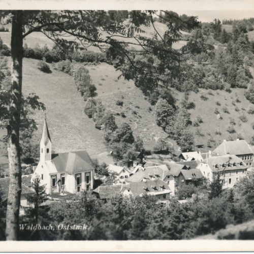 AK aus Waldbach Steiermark Ansichtskarte (9607)