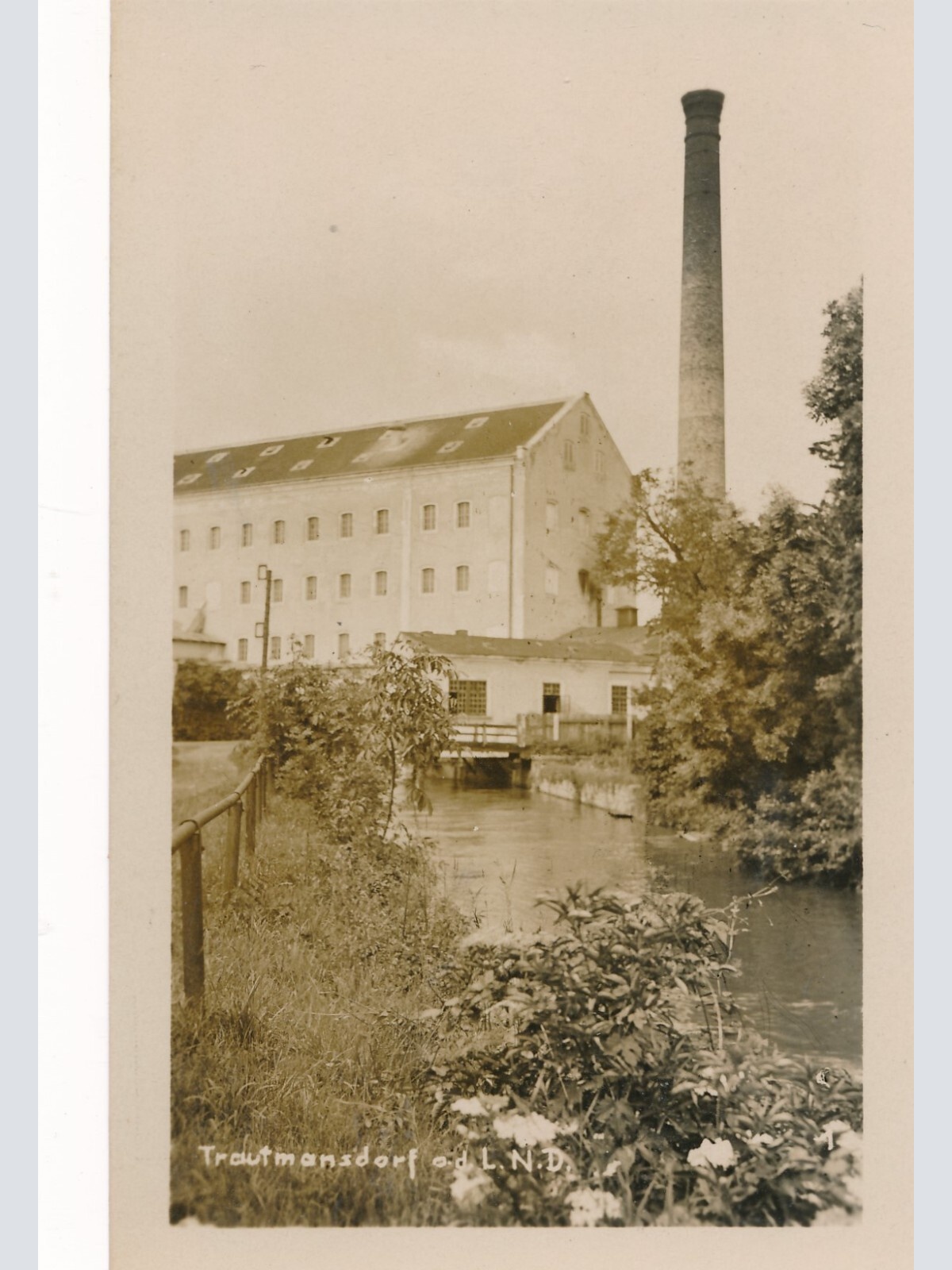 AK aus Trautmansdorf Niederösterreich (J79)