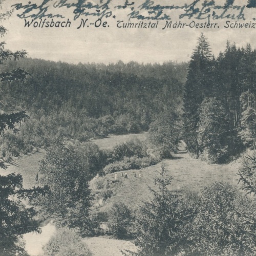 AK aus Wolfsbach Niederösterreich Ansichtskarte (10335)