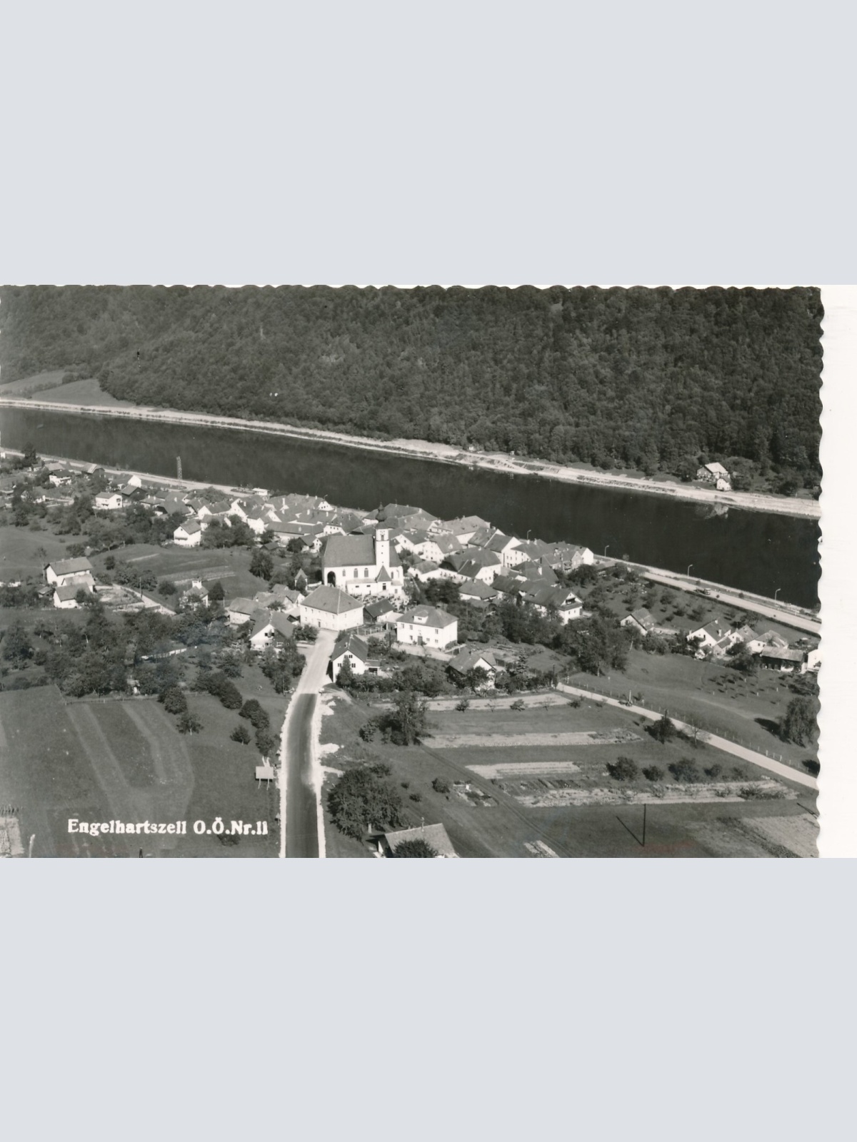 AK aus Engelhartszell Bild Nr. 11 Ansichtskarte (10029)