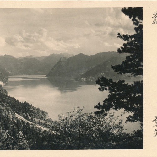 AK vom Traunsee Oberösterreich Ansichtskarte (10587)