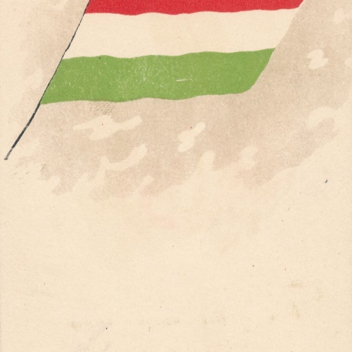 AK Ungarn Flagge - Flaggs Ansichtskarte (9438)